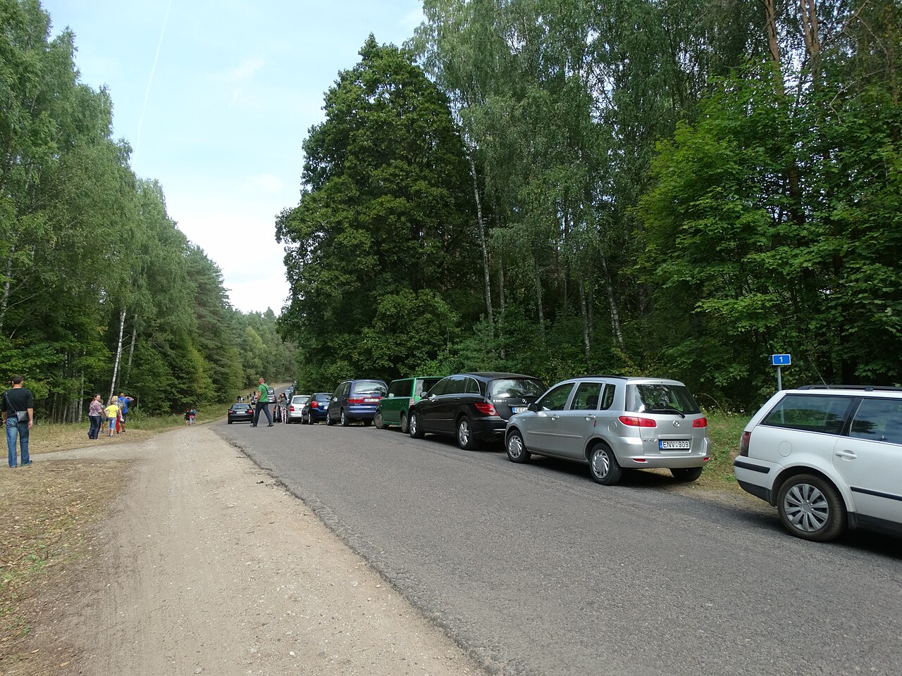 Anykščiai pinewood near Puntukas