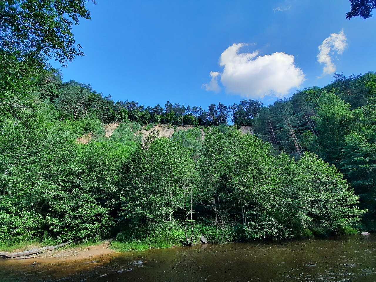 Pūčkoriai, Pavilniai Regional Park